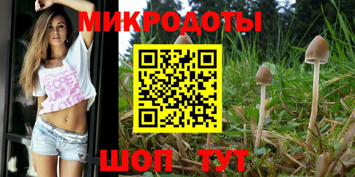 Псилоцибиновые грибы Psilocybe Татарск