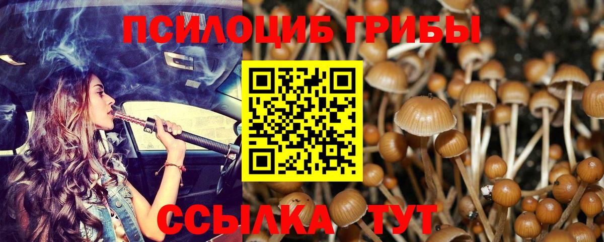 Галлюциногенные грибы Psilocybe  Вход с VPN  Татарск 
