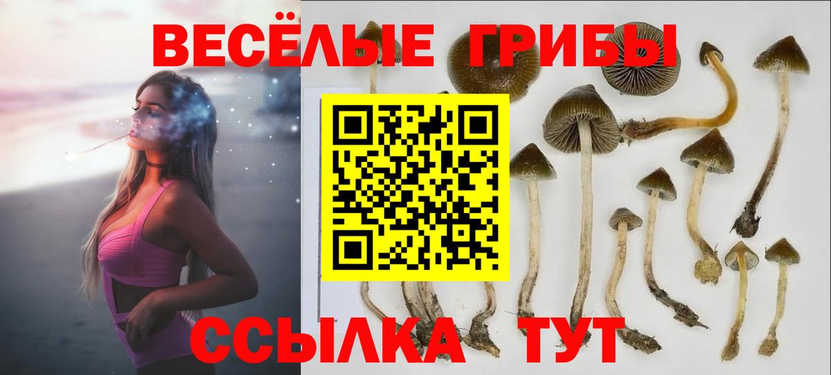 МЕФ Татарск